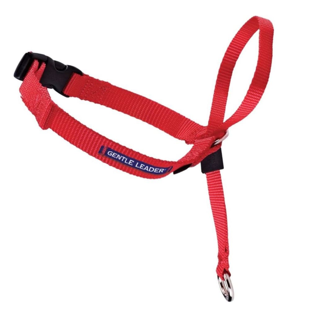 PetSafe Headcollar No-Pull Dog Collar Red Large - Pet Supplies - PetSafe