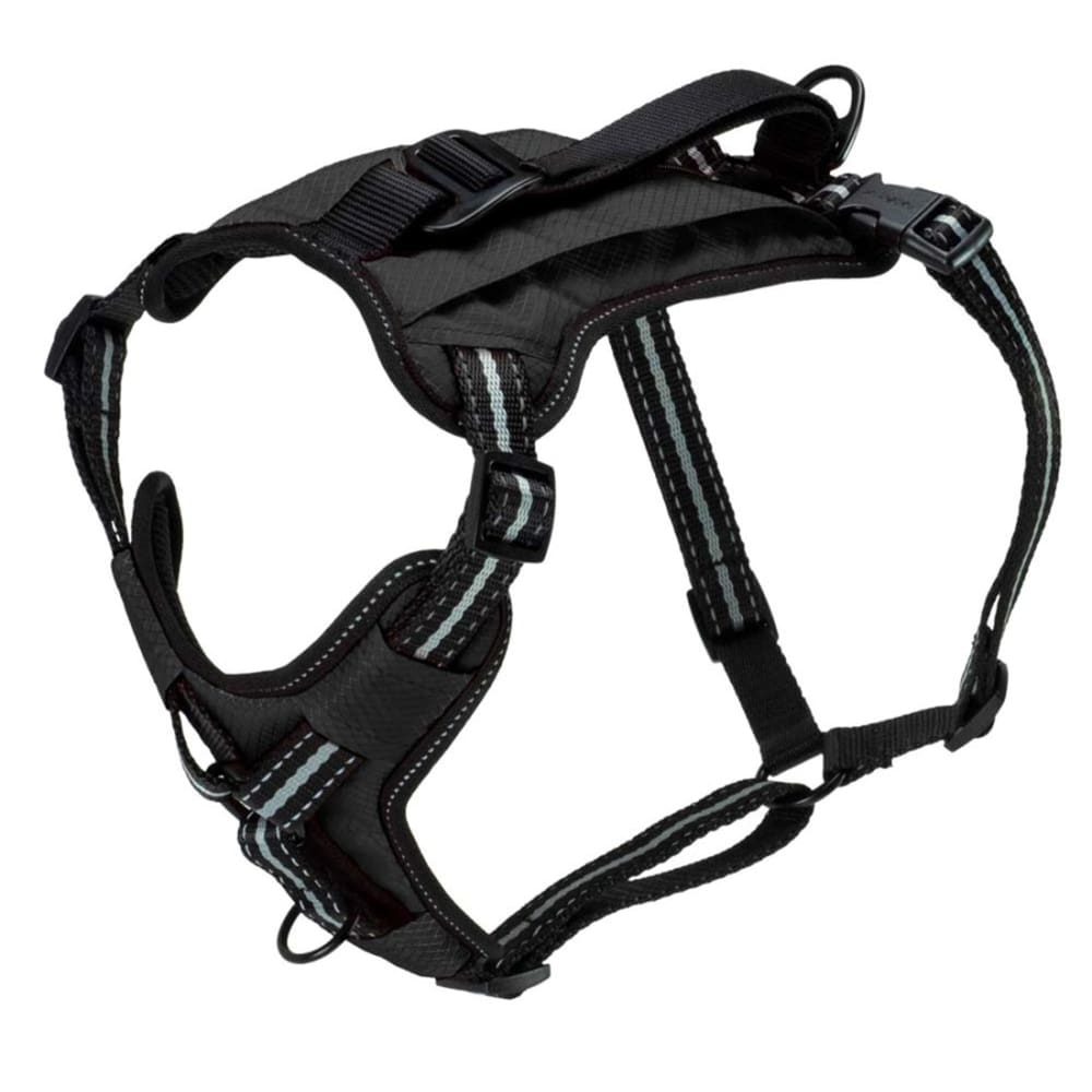 PetSafe Walk Along Outdoor Dog Harness Black Medium - Pet Supplies - PetSafe