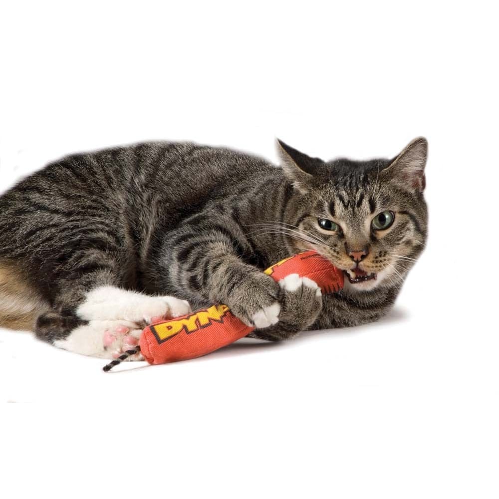 Petstages Green Magic Dynamite Catnip Toy Red One Size - Pet Supplies - Petstages