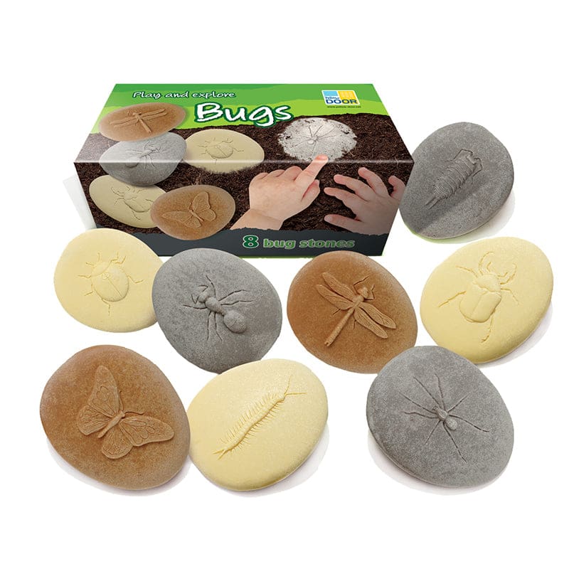 Play And Explore Bugs - Animal Studies - Yellow Door Us LLC