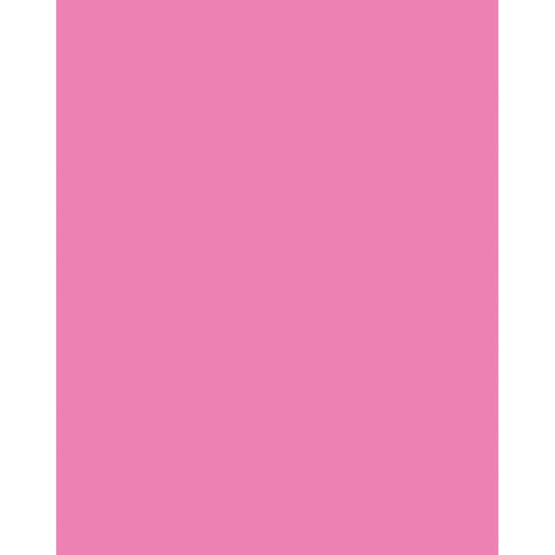 Poster Board Neon Pink 25/Ct - Poster Board - Dixon Ticonderoga Co - Pacon
