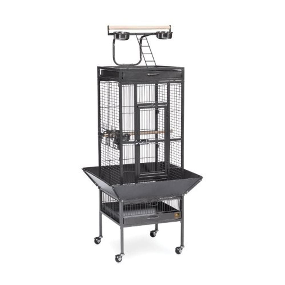 Prevue Pet Products 3151 Select Series Wrought Iron Bird Cage Hammertone Black - Pet Supplies - Prevue Pet