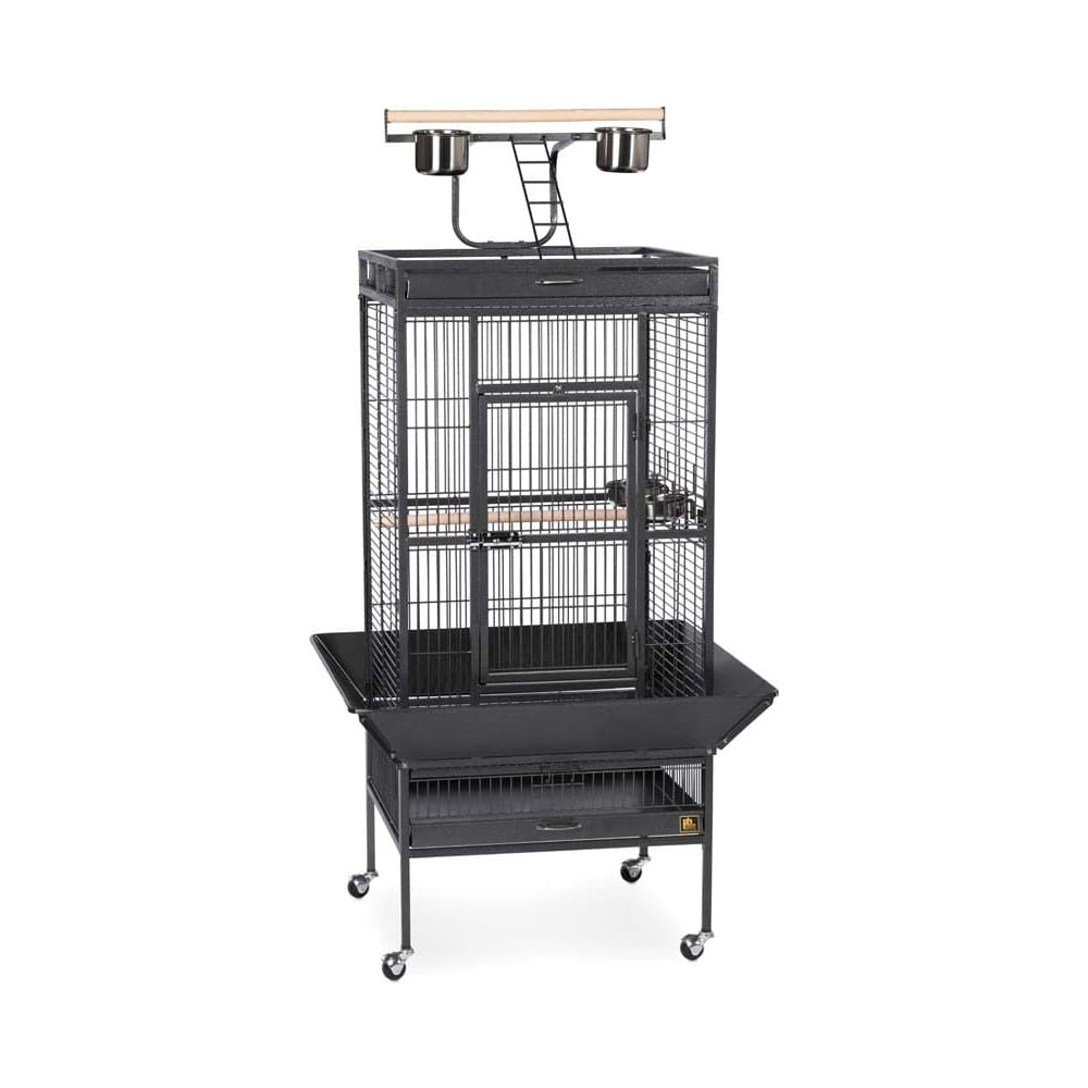 Prevue Pet Products 3152 Select Series Wrought Iron Bird Cage Hammertone Black 1Ea - Pet Supplies - Prevue Pet