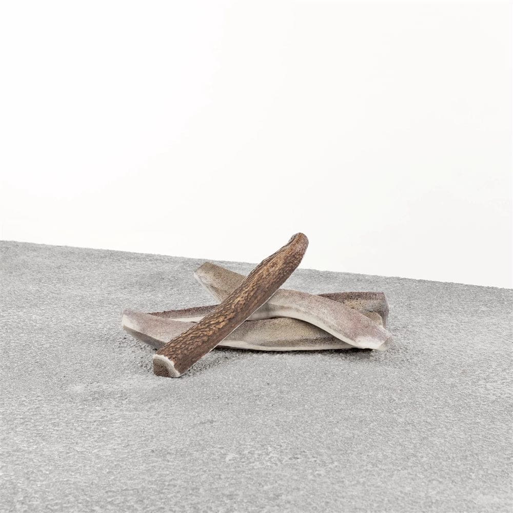 PRIMAL DOG STAG ANTLER LARGE - Pet Supplies - PRIMAL Pet Foods