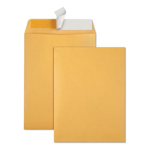Quality Park Redi-strip Catalog Envelope #1 Cheese Blade Flap Redi-strip Adhesive Closure 6 X 9 Brown Kraft 100/box - Office - Quality Park™