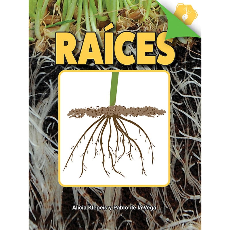 Raices Paperback Spanish Book (New Item With Future Availability Date) (Pack of 6) - Books - Carson Dellosa Education