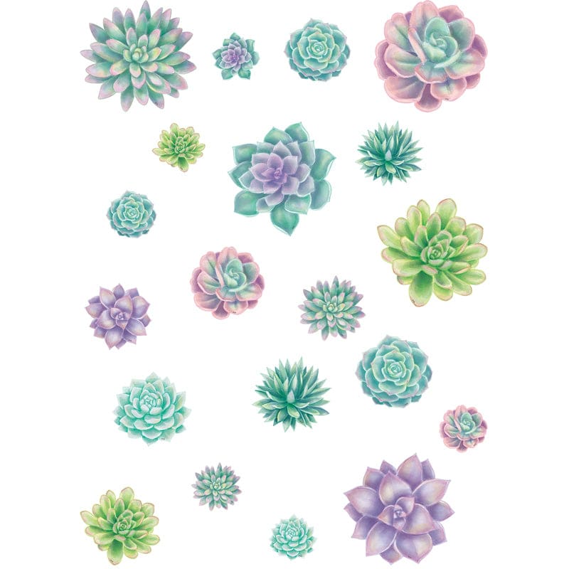 Rustic Bloom Succulents Accnts Asst Sizes (Pack of 6) - Accents - Teacher Created Resources