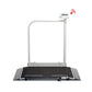 Seca Corp Seca With C Scale With Rail/Casters 800# Cap - Item Detail - Seca Corp