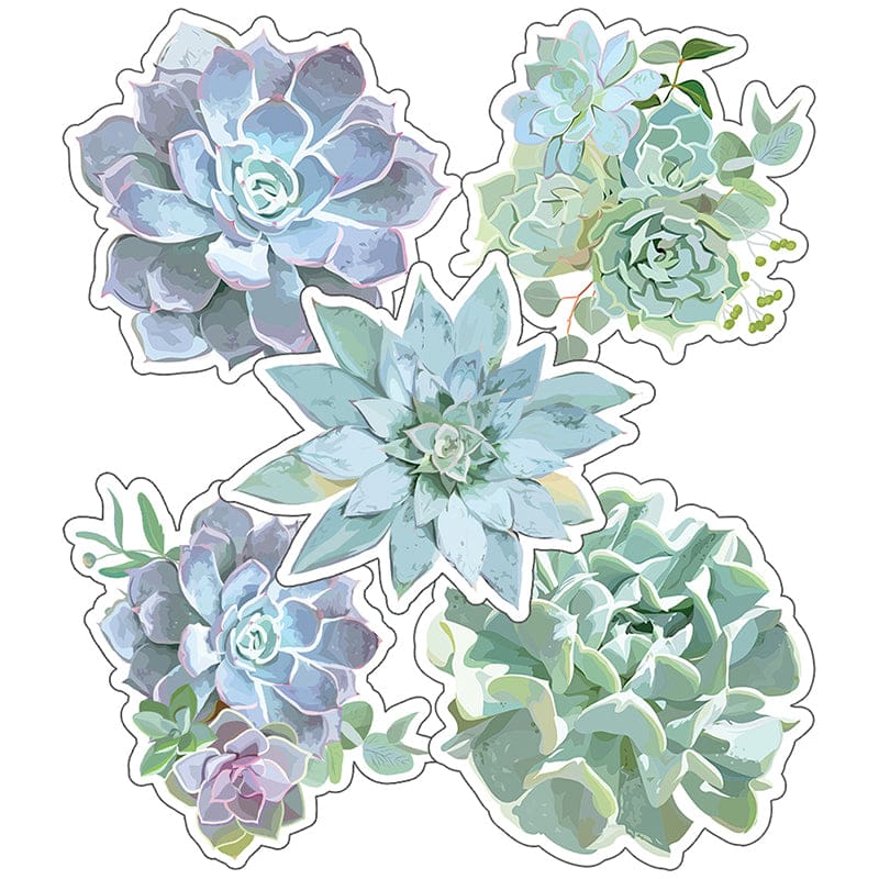 Simply Stylish Succulents Cut-Outs (Pack of 12) - Accents - Carson Dellosa Education