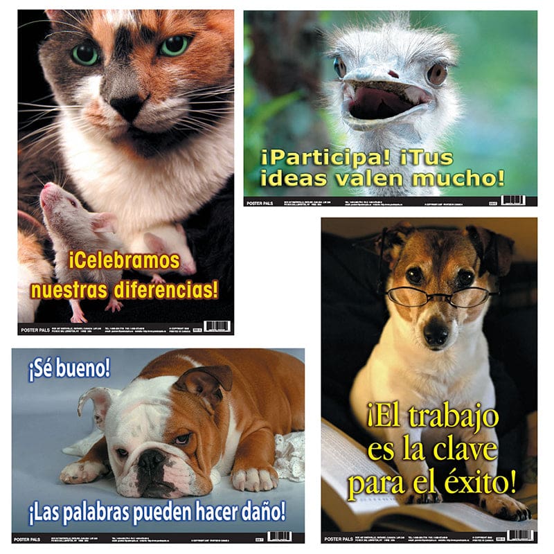 Spanish Fun Photo Posters Set 10 4 Poster Set (Pack of 6) - Charts - Poster Pals
