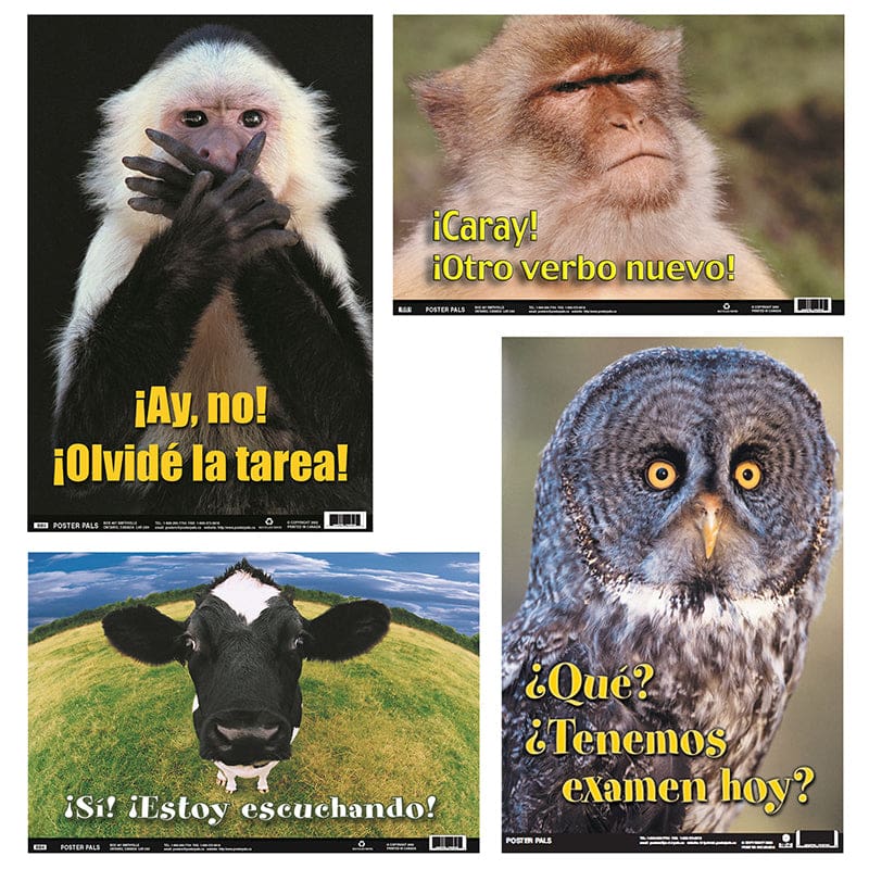 Spanish Fun Photo Posters Set 5 4 Poster Set (Pack of 6) - Charts - Poster Pals