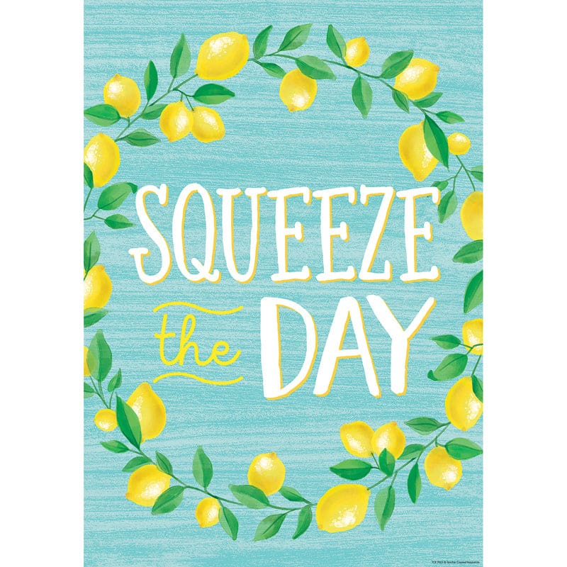 Squeeze The Day Positive Poster (Pack of 12) - Motivational - Teacher Created Resources