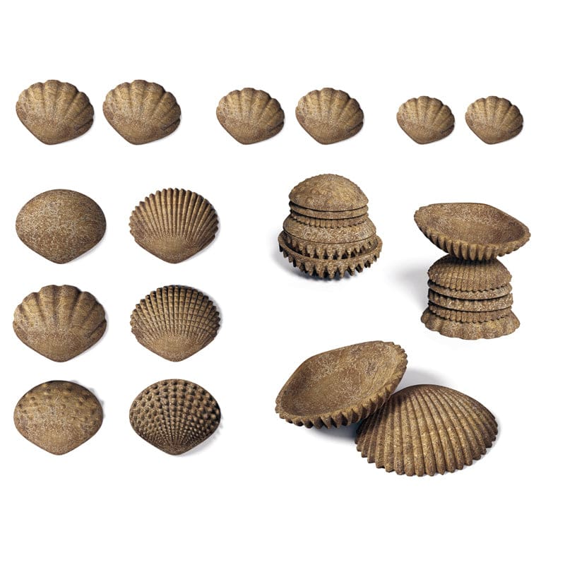 Tactile Shells - Sensory Development - Learning Advantage