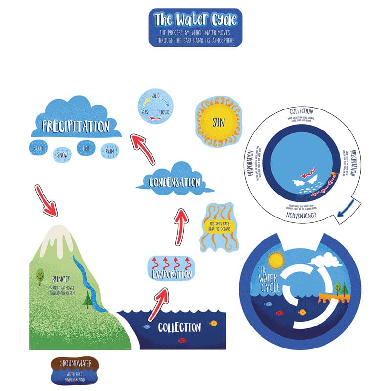 The Water Cycle Bulletin Board Set (Pack of 6) - Science - Carson Dellosa Education