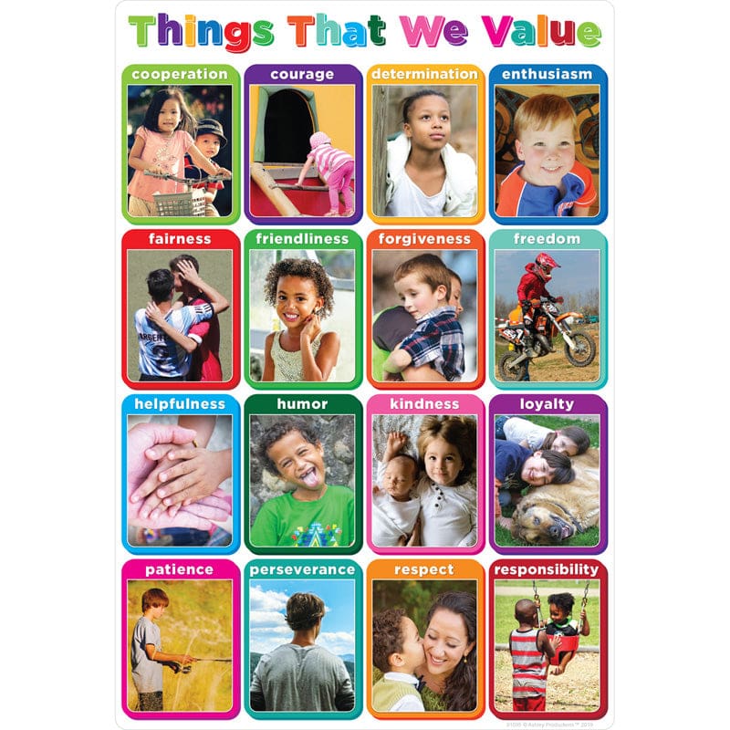 Thgs We Value 13 X 19 Chart Smart Poly (Pack of 12) - Motivational - Ashley Productions