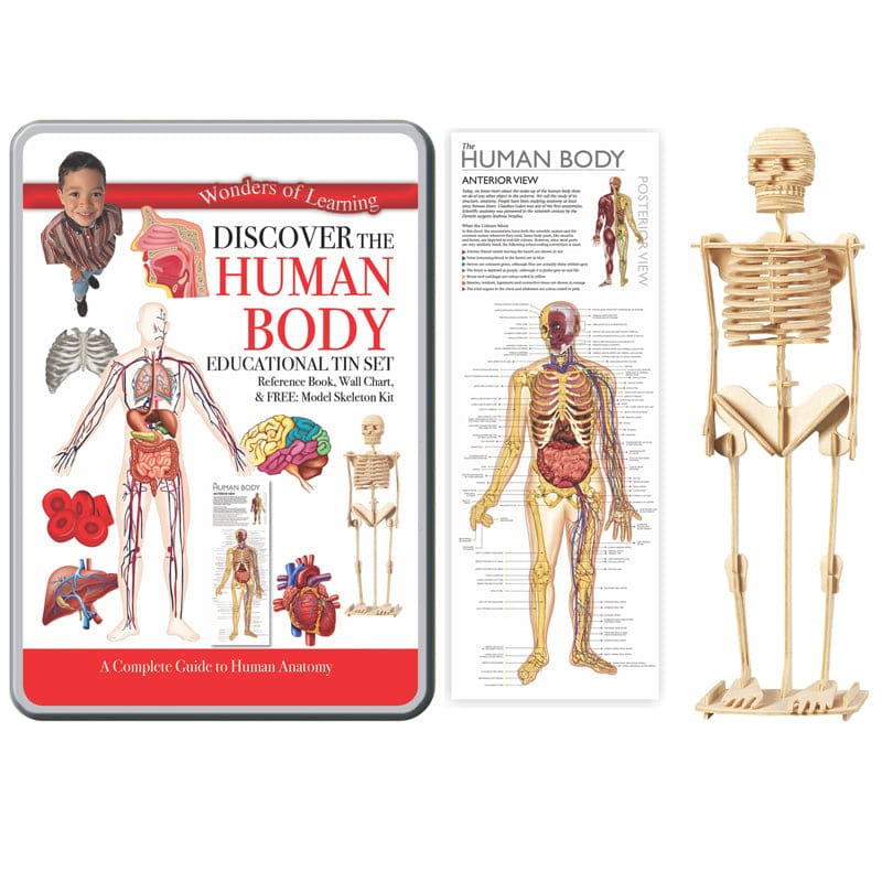 Tin Set Discover The Human Body Wonders Of Learning (Pack of 2) - Human Anatomy - Round World Products