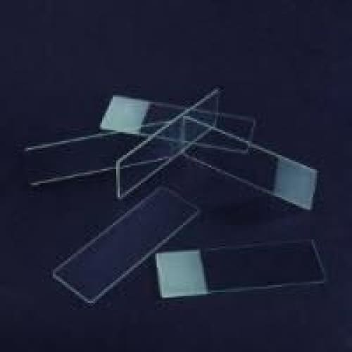 Troy Biologicals Microscope Slide 1 X 3 Frosted Box of 72 - Diagnostics >> Diagnostic Accessories - Troy Biologicals