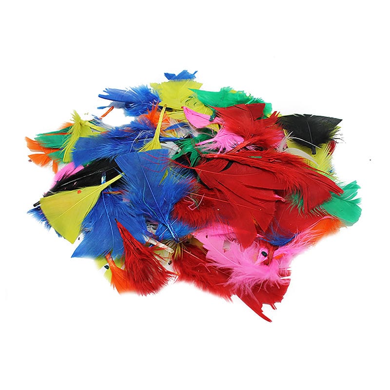 Turkey Feathers Bright Colors 14G Bag (Pack of 12) - Feathers - Charles Leonard