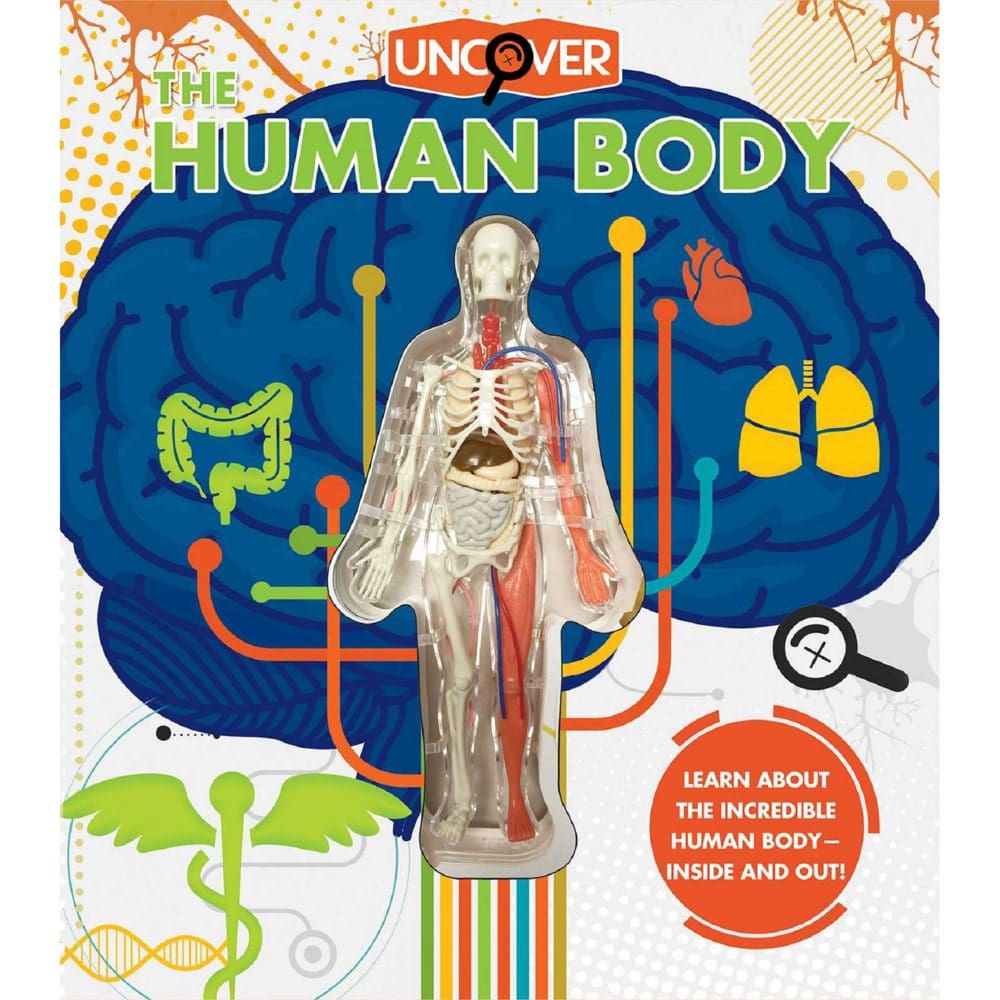 Uncover the Human Body - Kids Books - Uncover