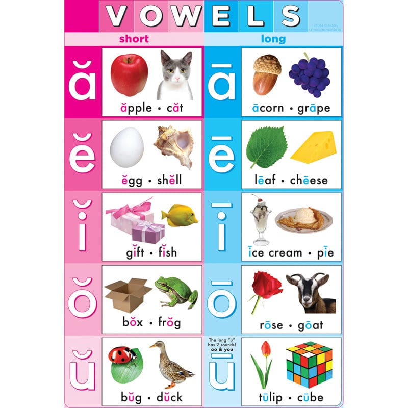 Vowels Smart Poly Chart (Pack of 12) - Language Arts - Ashley Productions