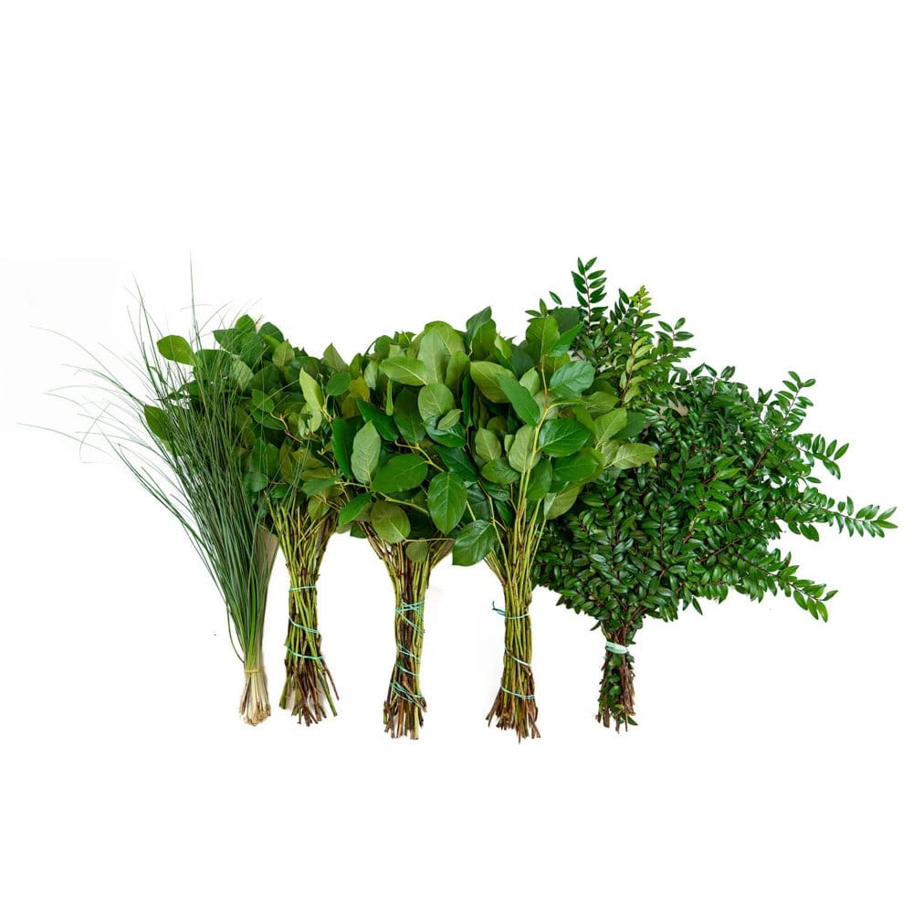 Western Greens Mix (5 bunches) - Fillers & Greenery - Western