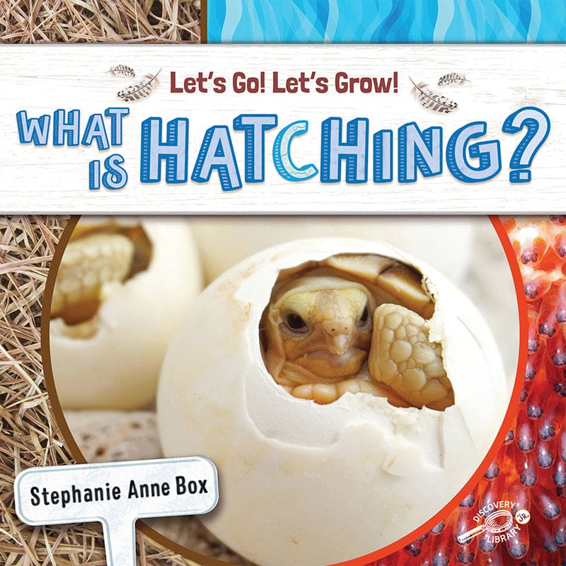 What Is Hatching (Pack of 6) - Science - Carson Dellosa Education