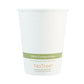 World Centric Notree Paper Hot Cups 16 Oz Natural 1,000/carton - Food Service - World Centric®