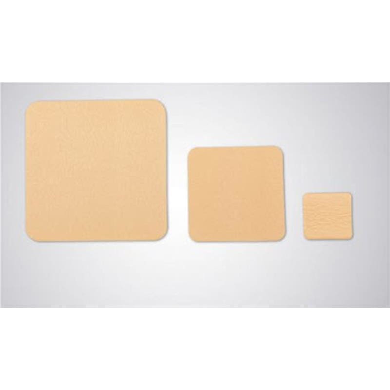 Zeni Medical Zenifoam Gentle 6 X 6 No Border Box of 10 - Item Detail - Zeni Medical